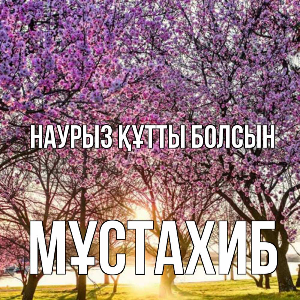 Күн сайын ашық хат с именем, МҰСТАХИБ Наурыз құтты болсын наурыз Онлайн тегін жүктеп алу тілектері бар керемет карта 