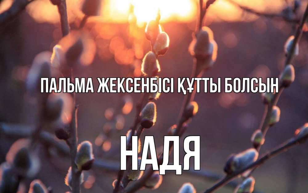 Күн сайын ашық хат с именем, Надя Пальма жексенбісі құтты болсын верба Онлайн тегін жүктеп алу тілектері бар керемет карта 