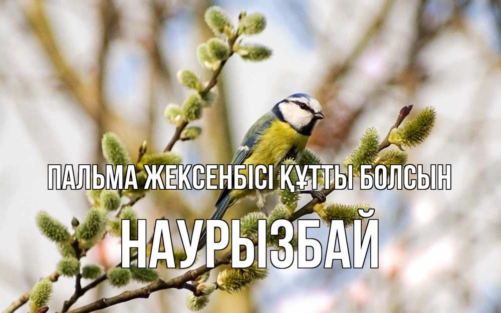 Күн сайын ашық хат с именем, Наурызбай Пальма жексенбісі құтты болсын верба Онлайн тегін жүктеп алу тілектері бар керемет карта 