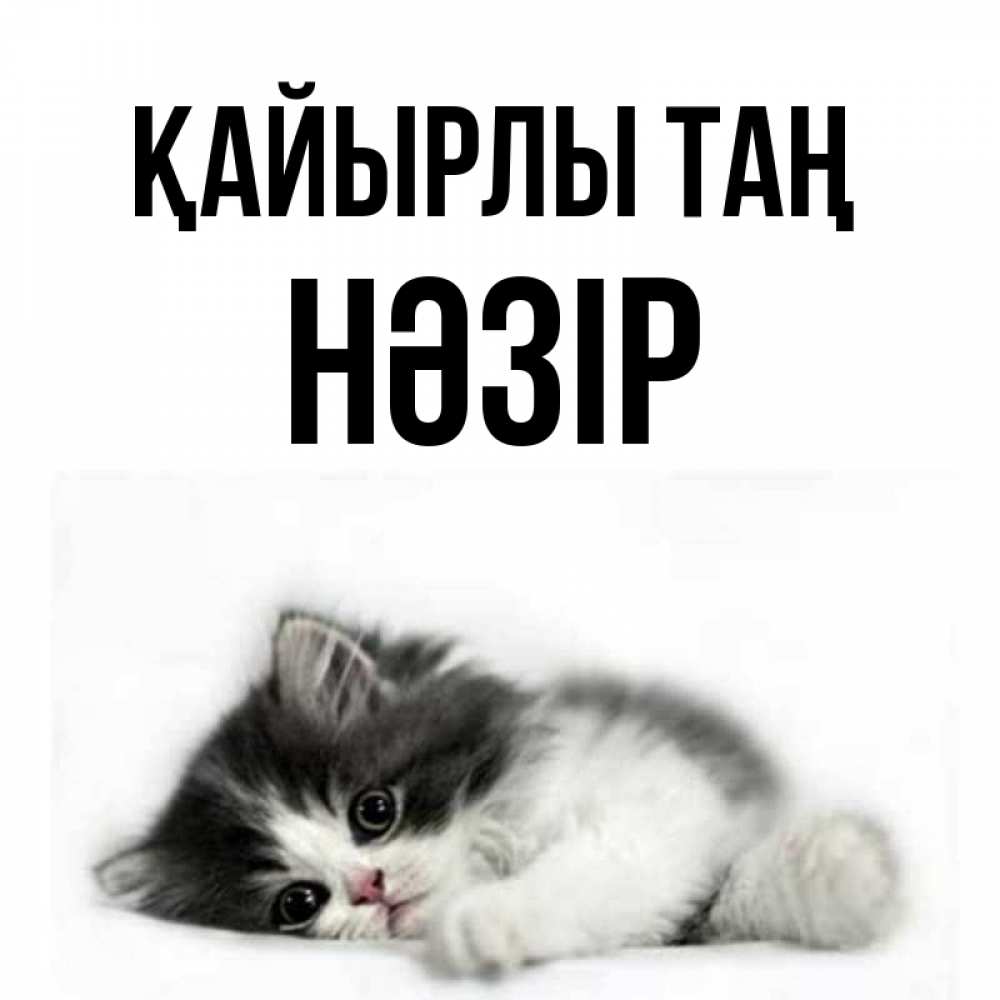 Күн сайын ашық хат с именем, НӘЗІР Қайырлы таң кот лапки Онлайн тегін жүктеп алу тілектері бар керемет карта 