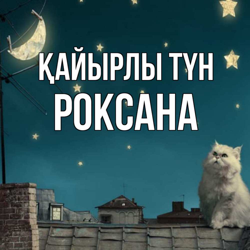Күн сайын ашық хат с именем, Роксана Қайырлы түн белый кот сидит на крыше Онлайн тегін жүктеп алу тілектері бар керемет карта 
