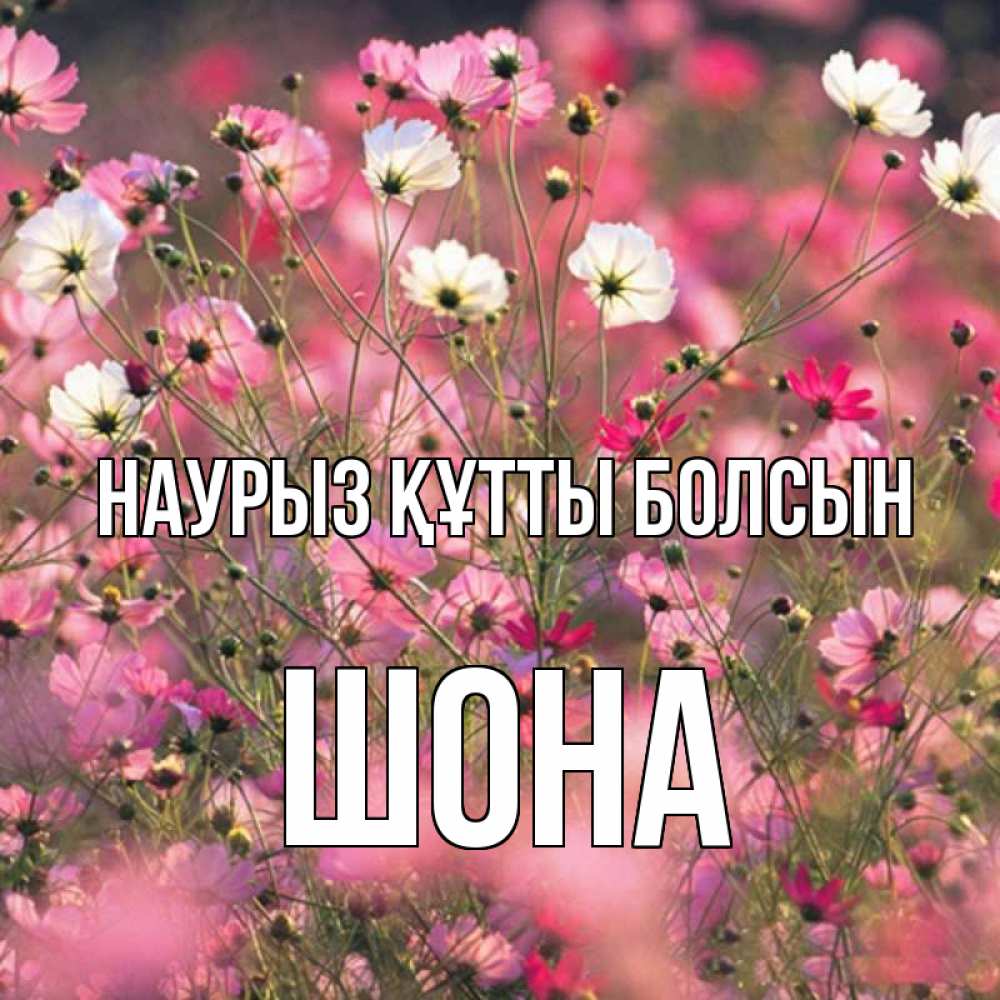 Күн сайын ашық хат с именем, ШОНА Наурыз құтты болсын красиво 1 Онлайн тегін жүктеп алу тілектері бар керемет карта 