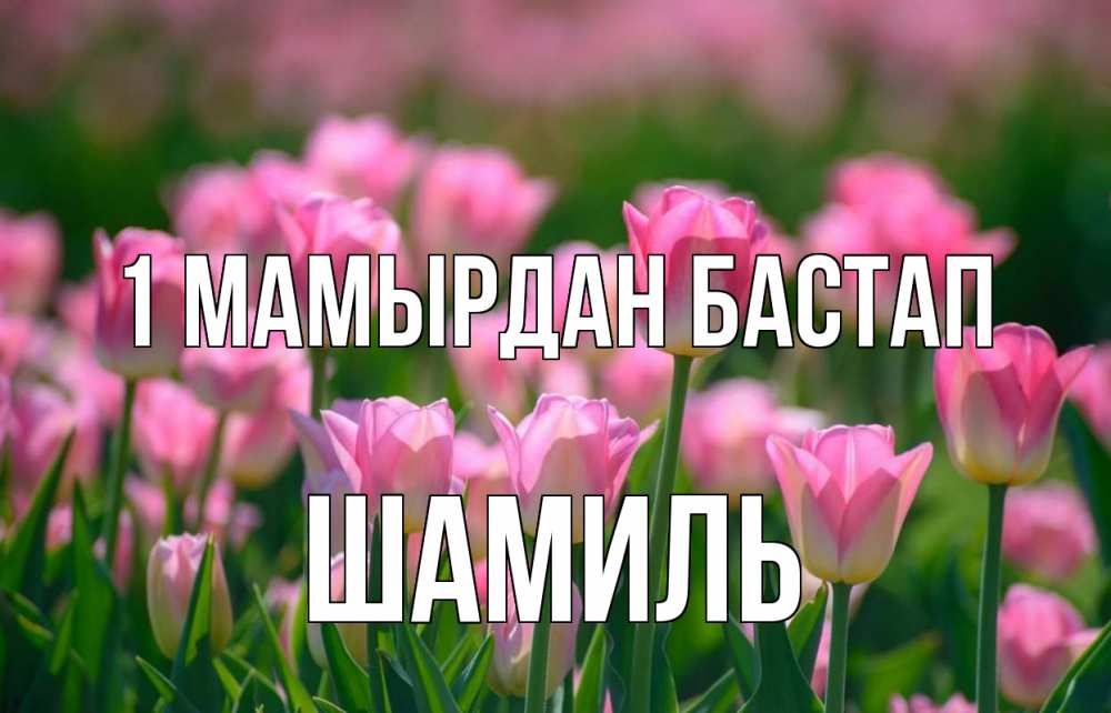 Күн сайын ашық хат с именем, Шамиль 1 мамырдан бастап С 1 мая Онлайн тегін жүктеп алу тілектері бар керемет карта 
