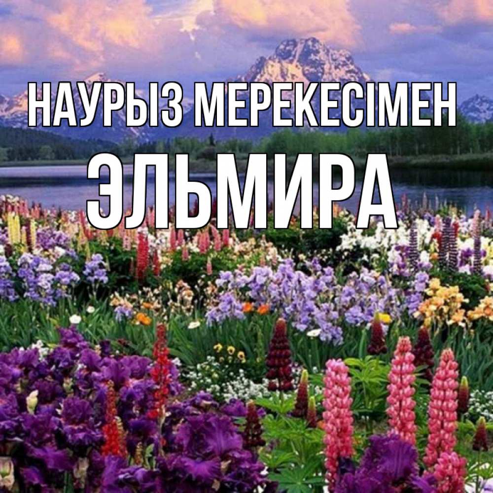 Күн сайын ашық хат с именем, Эльмира Наурыз мерекесімен праздник весны наурыз Онлайн тегін жүктеп алу тілектері бар керемет карта 