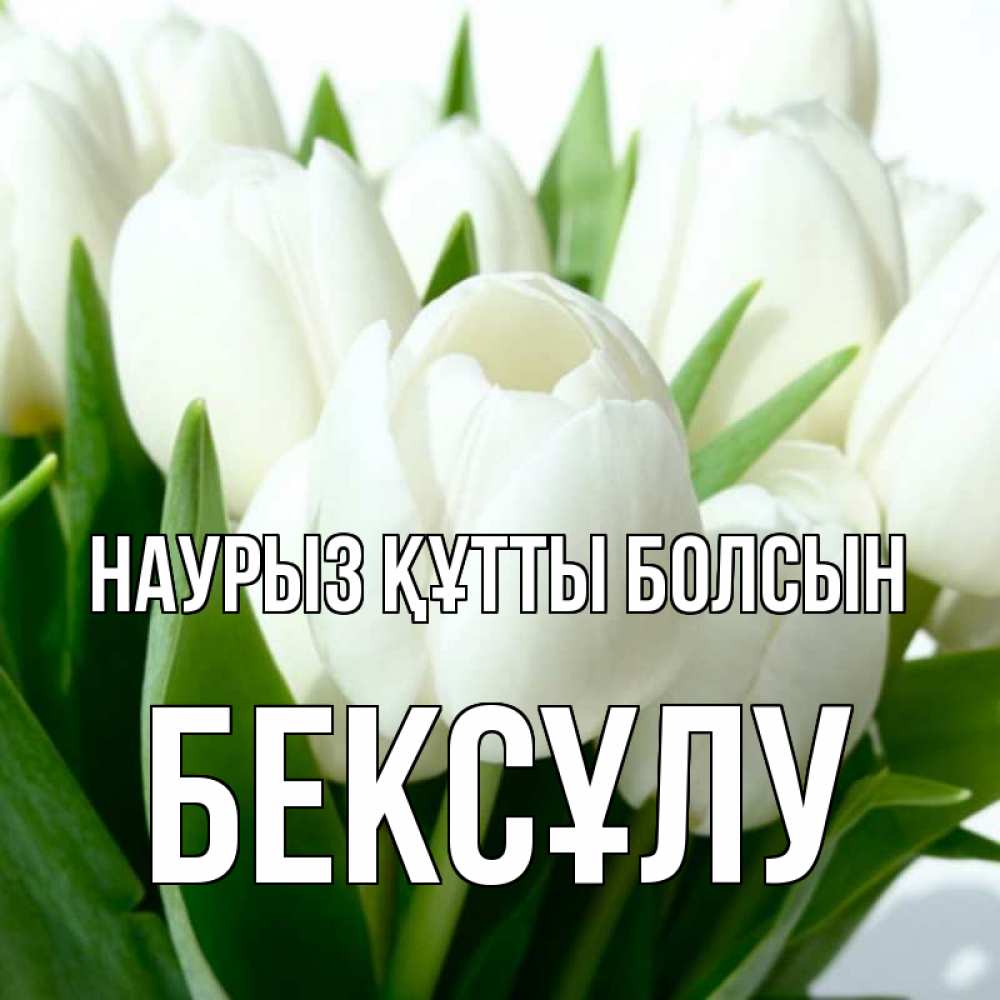 Күн сайын ашық хат с именем, БЕКСҰЛУ Наурыз құтты болсын цветы Онлайн тегін жүктеп алу тілектері бар керемет карта 