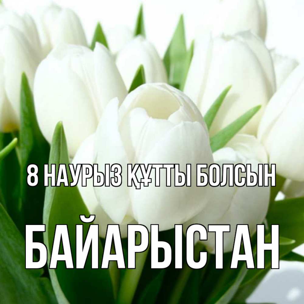 Күн сайын ашық хат с именем, Байарыстан 8 наурыз құтты болсын цветы Онлайн тегін жүктеп алу тілектері бар керемет карта 