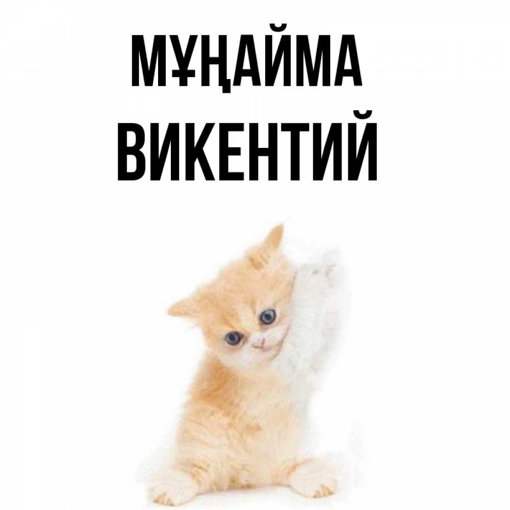 Күн сайын ашық хат с именем, Викентий Мұңайма просящий кот Онлайн тегін жүктеп алу тілектері бар керемет карта 