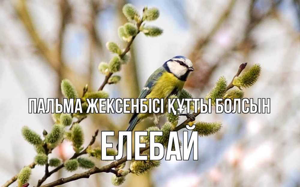 Күн сайын ашық хат с именем, Елебай Пальма жексенбісі құтты болсын верба Онлайн тегін жүктеп алу тілектері бар керемет карта 