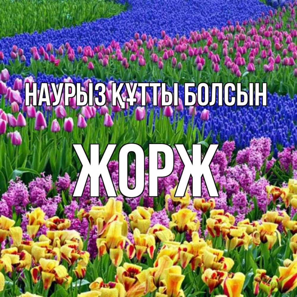 Күн сайын ашық хат с именем, Жорж Наурыз құтты болсын цветы Онлайн тегін жүктеп алу тілектері бар керемет карта 