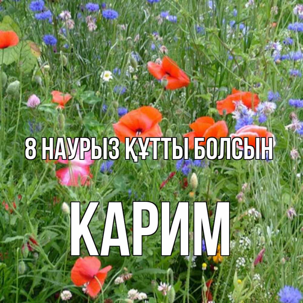 Күн сайын ашық хат с именем, Карим 8 наурыз құтты болсын международный женский день 4 Онлайн тегін жүктеп алу тілектері бар керемет карта 