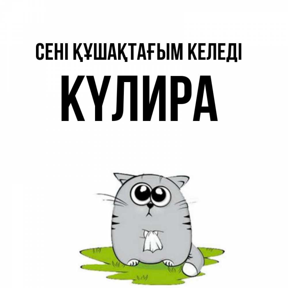 Күн сайын ашық хат с именем, КҮЛИРА сені құшақтағым келеді котик теребит платочек сидя на травке Онлайн тегін жүктеп алу тілектері бар керемет карта 