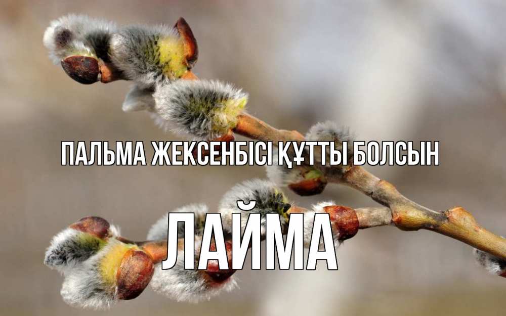 Күн сайын ашық хат с именем, Лайма Пальма жексенбісі құтты болсын Верба Онлайн тегін жүктеп алу тілектері бар керемет карта 