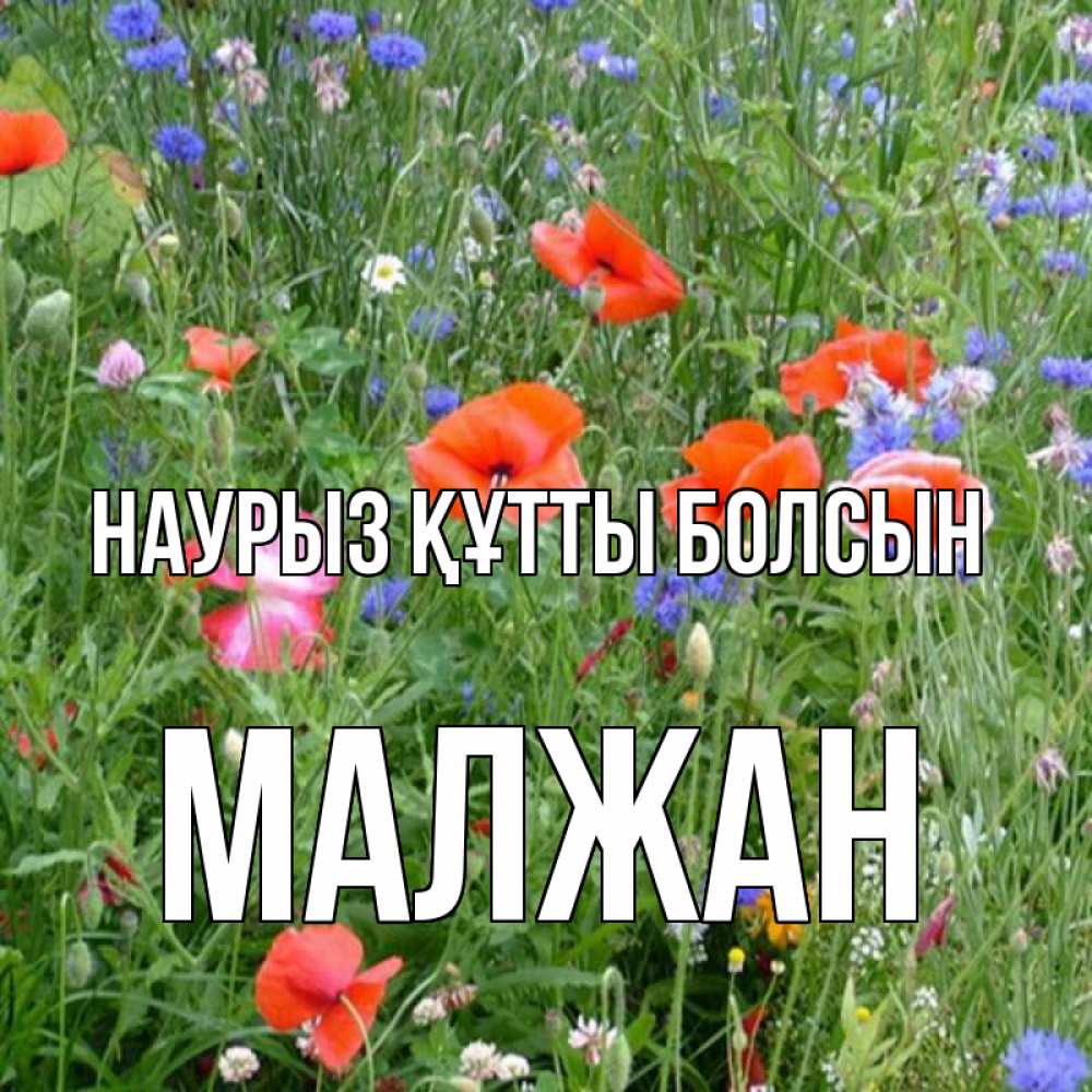 Күн сайын ашық хат с именем, МАЛЖАН Наурыз құтты болсын наурыз  4 Онлайн тегін жүктеп алу тілектері бар керемет карта 