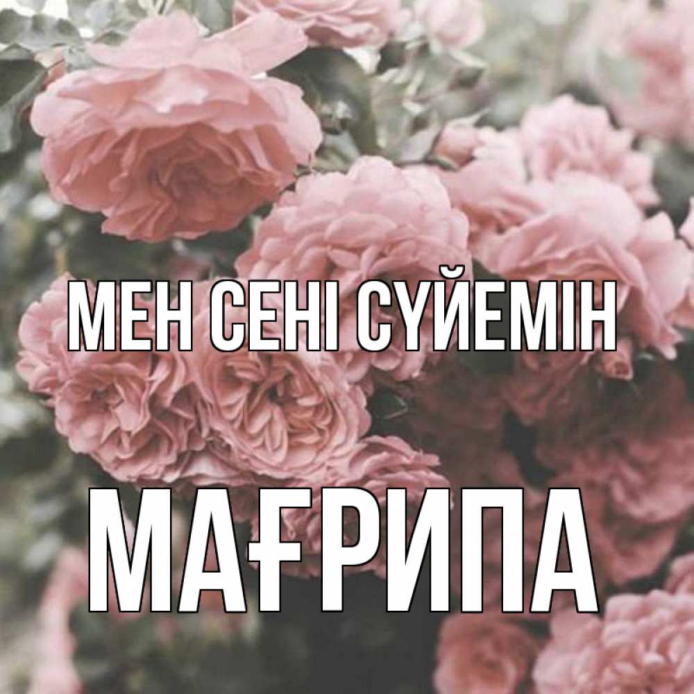Күн сайын ашық хат с именем, МАҒРИПА Мен сені сүйемін розы 3 Онлайн тегін жүктеп алу тілектері бар керемет карта 