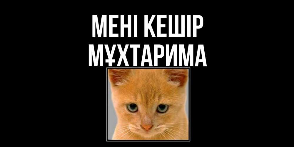 Күн сайын ашық хат с именем, МҰХТАРИМА Мені кешір рыжий грустный кот просит прощения Онлайн тегін жүктеп алу тілектері бар керемет карта 