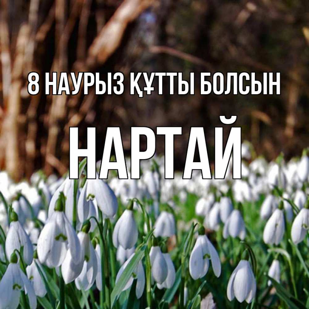 Күн сайын ашық хат с именем, Нартай 8 наурыз құтты болсын с подснежниками 1 Онлайн тегін жүктеп алу тілектері бар керемет карта 