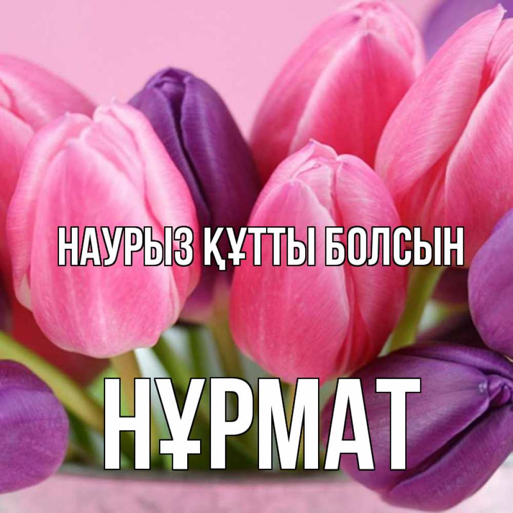 Күн сайын ашық хат с именем, Нұрмат Наурыз құтты болсын маме 1 Онлайн тегін жүктеп алу тілектері бар керемет карта 