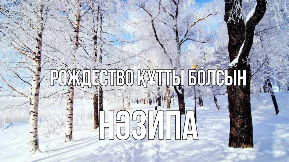 Күн сайын ашық хат с именем, НӘЗИПА Рождество құтты болсын зимний лес Онлайн тегін жүктеп алу тілектері бар керемет карта 