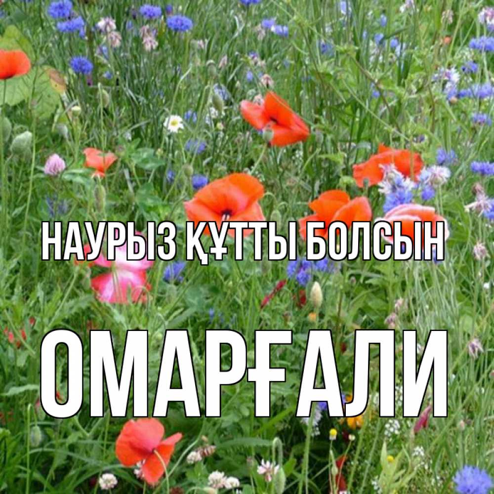 Күн сайын ашық хат с именем, ОМАРҒАЛИ Наурыз құтты болсын наурыз  4 Онлайн тегін жүктеп алу тілектері бар керемет карта 
