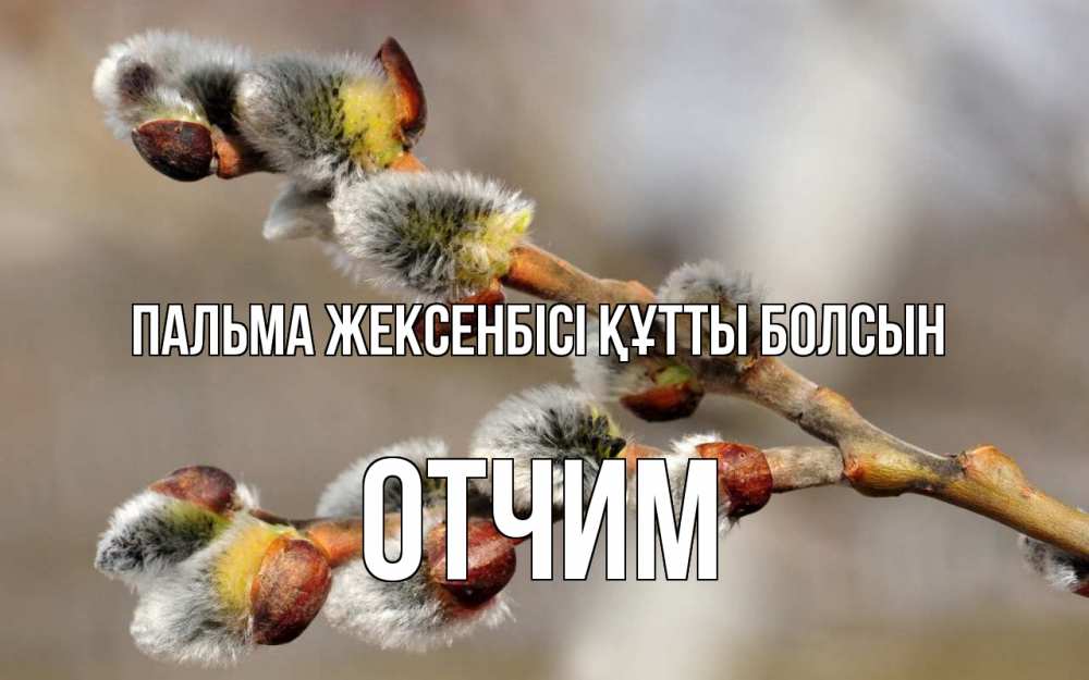 Күн сайын ашық хат с именем, Отчим Пальма жексенбісі құтты болсын Верба Онлайн тегін жүктеп алу тілектері бар керемет карта 