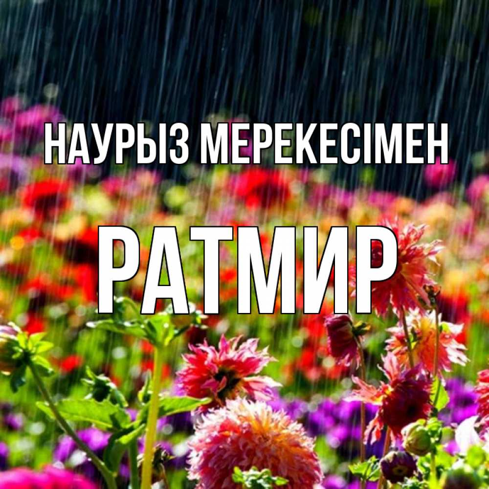 Күн сайын ашық хат с именем, Ратмир Наурыз мерекесімен цветы под дождиком к международному женскому дню Онлайн тегін жүктеп алу тілектері бар керемет карта 