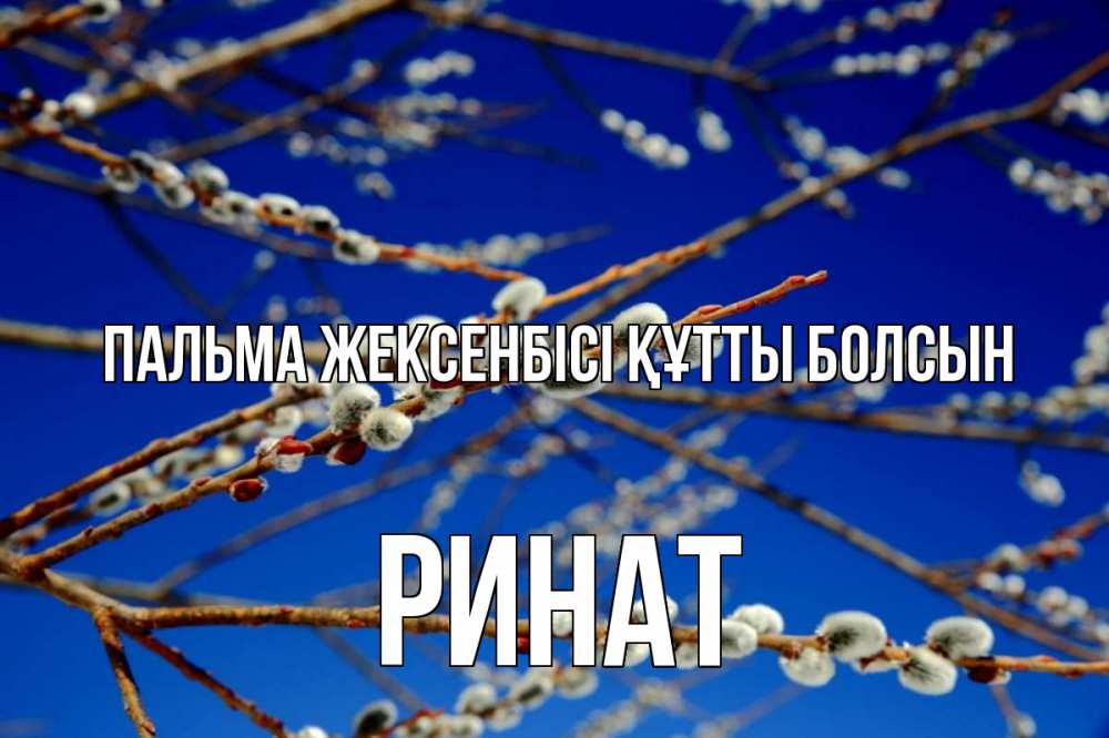Күн сайын ашық хат с именем, Ринат Пальма жексенбісі құтты болсын верба Онлайн тегін жүктеп алу тілектері бар керемет карта 