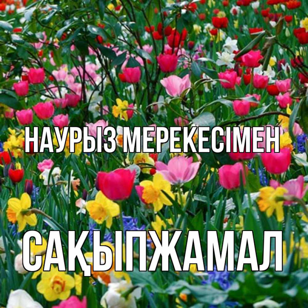 Күн сайын ашық хат с именем, САҚЫПЖАМАЛ Наурыз мерекесімен с наурызом праздником весны поздравления для женщины Онлайн тегін жүктеп алу тілектері бар керемет карта 