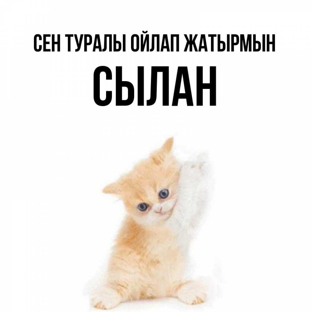 Күн сайын ашық хат с именем, СЫЛАН Сен туралы ойлап жатырмын зверушки и милота Онлайн тегін жүктеп алу тілектері бар керемет карта 
