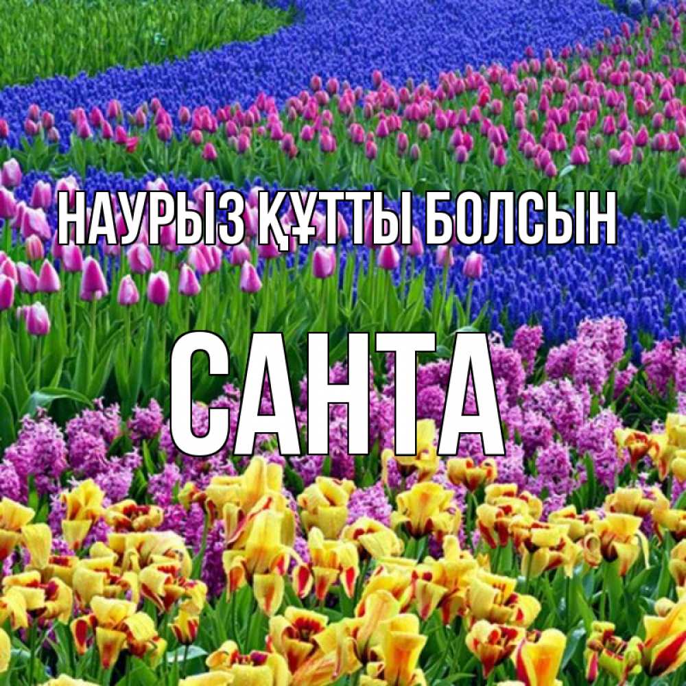 Күн сайын ашық хат с именем, Санта Наурыз құтты болсын цветы Онлайн тегін жүктеп алу тілектері бар керемет карта 