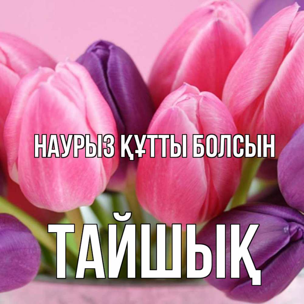 Күн сайын ашық хат с именем, ТАЙШЫҚ Наурыз құтты болсын маме 1 Онлайн тегін жүктеп алу тілектері бар керемет карта 