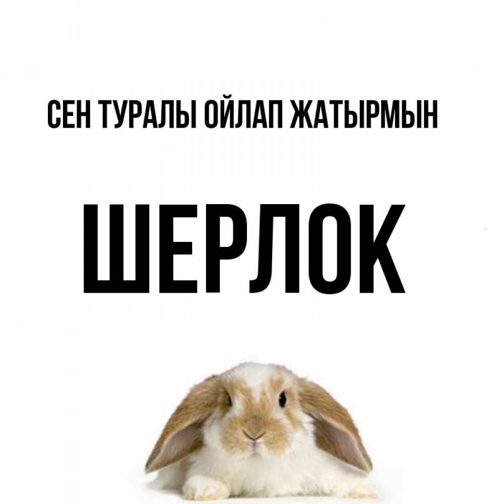 Күн сайын ашық хат с именем, Шерлок Сен туралы ойлап жатырмын подписать своими руками онлайн Онлайн тегін жүктеп алу тілектері бар керемет карта 