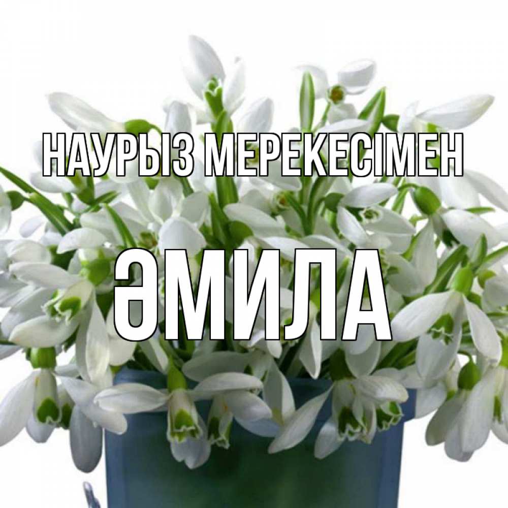 Күн сайын ашық хат с именем, ӘМИЛА Наурыз мерекесімен цветы к наурызу новый год в Казахстане Онлайн тегін жүктеп алу тілектері бар керемет карта 