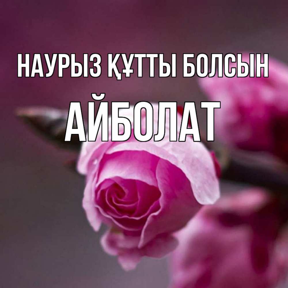 Күн сайын ашық хат с именем, Айболат Наурыз құтты болсын весна Онлайн тегін жүктеп алу тілектері бар керемет карта 