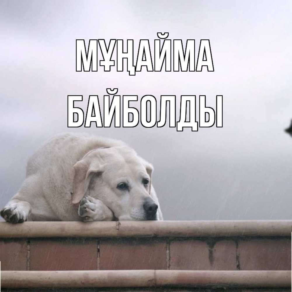 Күн сайын ашық хат с именем, Байболды Мұңайма белый пес 1 Онлайн тегін жүктеп алу тілектері бар керемет карта 