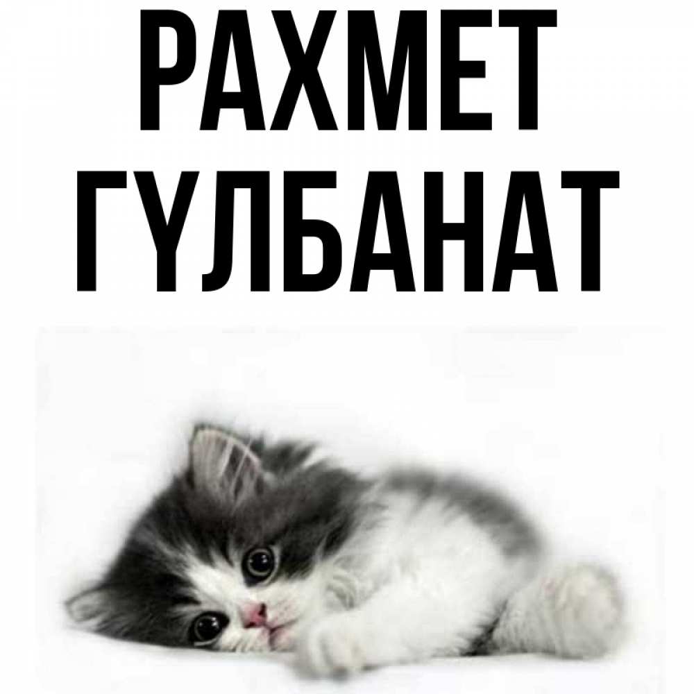 Күн сайын ашық хат с именем, ГҮЛБАНАТ рахмет черный и белый кот Онлайн тегін жүктеп алу тілектері бар керемет карта 