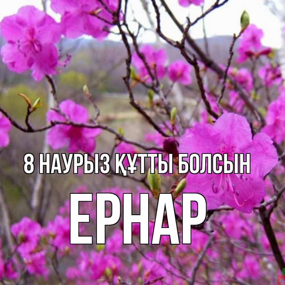 Күн сайын ашық хат с именем, Ернар 8 наурыз құтты болсын международный женский день Онлайн тегін жүктеп алу тілектері бар керемет карта 