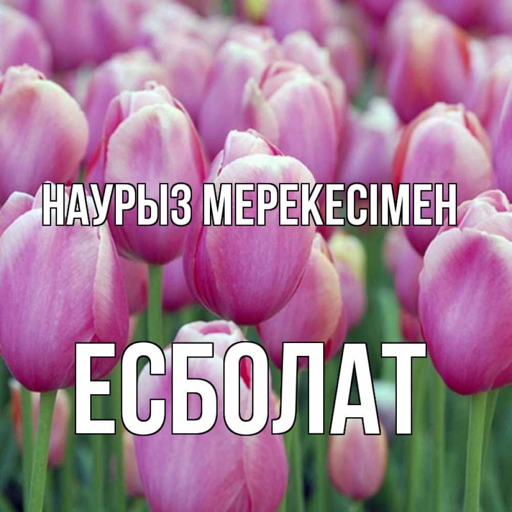 Күн сайын ашық хат с именем, Есболат Наурыз мерекесімен праздник весны наурыз 69 Онлайн тегін жүктеп алу тілектері бар керемет карта 