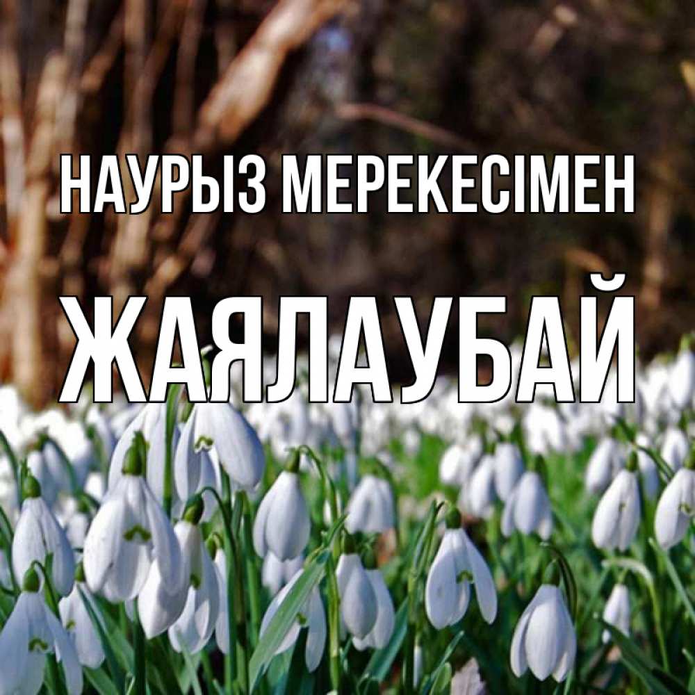 Күн сайын ашық хат с именем, Жаялаубай Наурыз мерекесімен с подснежниками 1 Онлайн тегін жүктеп алу тілектері бар керемет карта 