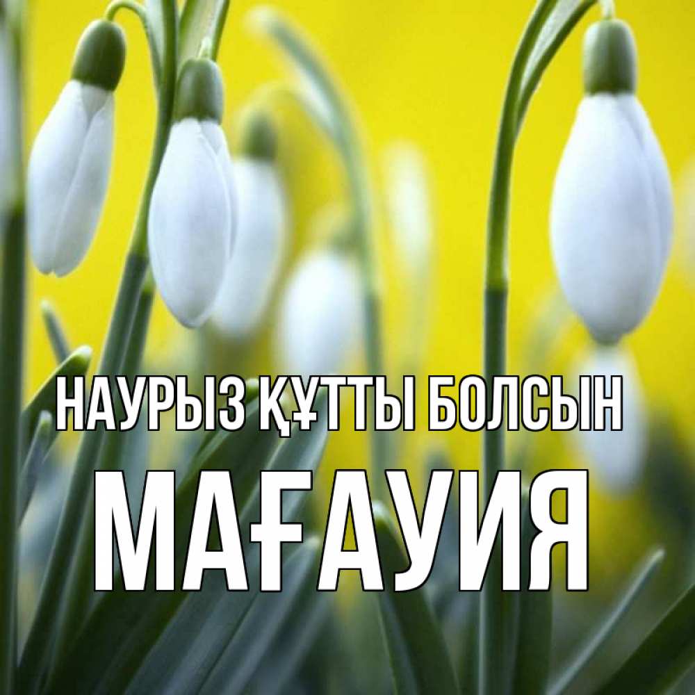 Күн сайын ашық хат с именем, МАҒАУИЯ Наурыз құтты болсын весенние цветы Онлайн тегін жүктеп алу тілектері бар керемет карта 