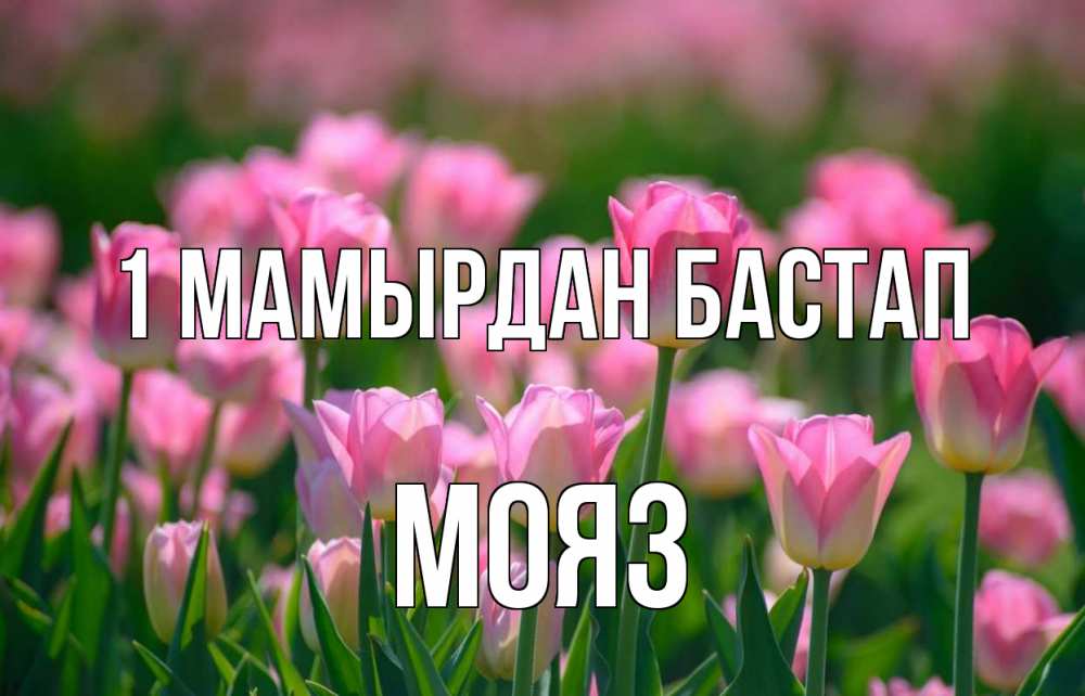 Күн сайын ашық хат с именем, МОЯЗ 1 мамырдан бастап С 1 мая Онлайн тегін жүктеп алу тілектері бар керемет карта 