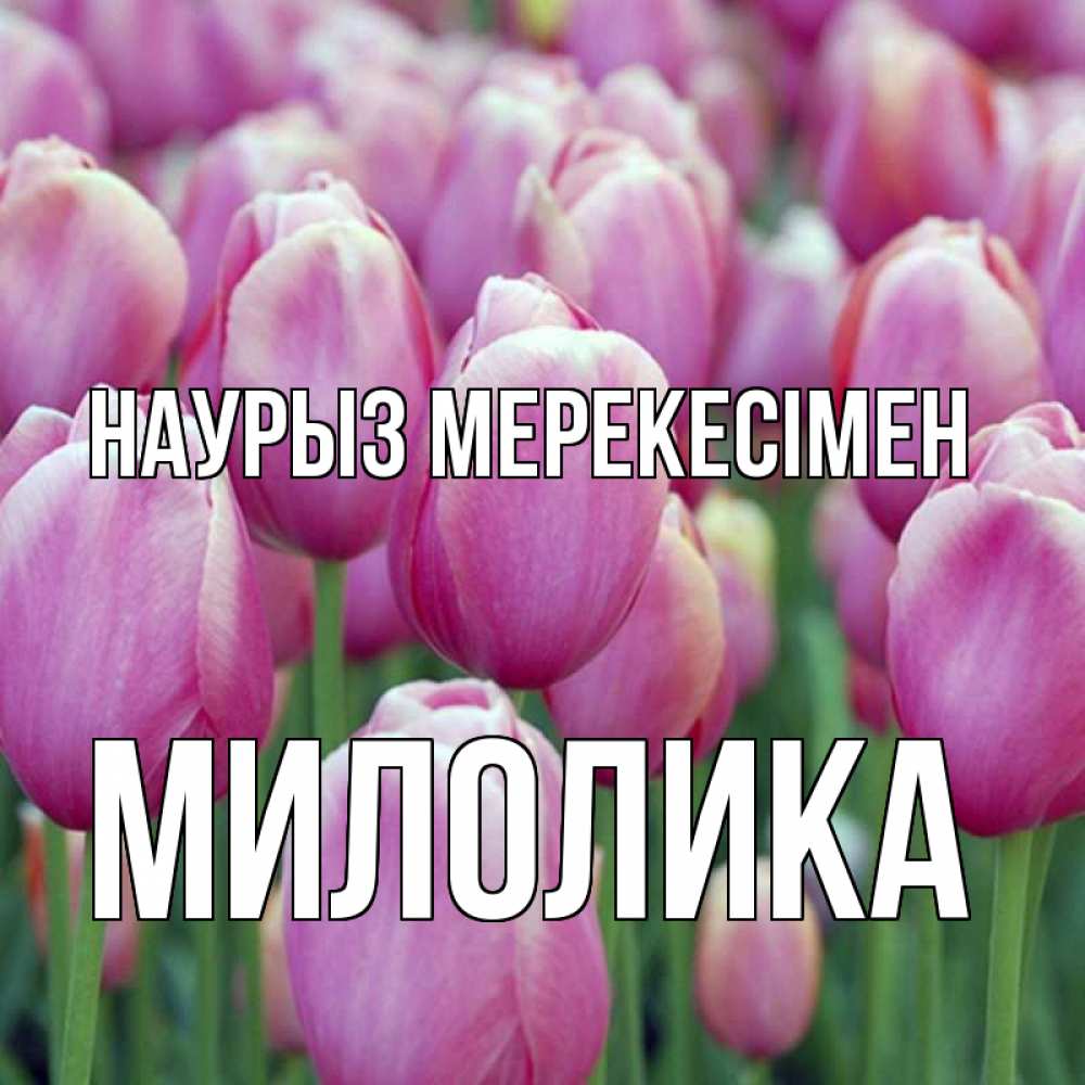 Күн сайын ашық хат с именем, Милолика Наурыз мерекесімен праздник весны наурыз 69 Онлайн тегін жүктеп алу тілектері бар керемет карта 