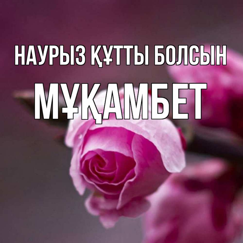 Күн сайын ашық хат с именем, МҰҚАМБЕТ Наурыз құтты болсын весна Онлайн тегін жүктеп алу тілектері бар керемет карта 