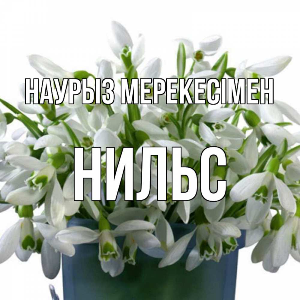 Күн сайын ашық хат с именем, Нильс Наурыз мерекесімен цветы к наурызу новый год в Казахстане Онлайн тегін жүктеп алу тілектері бар керемет карта 