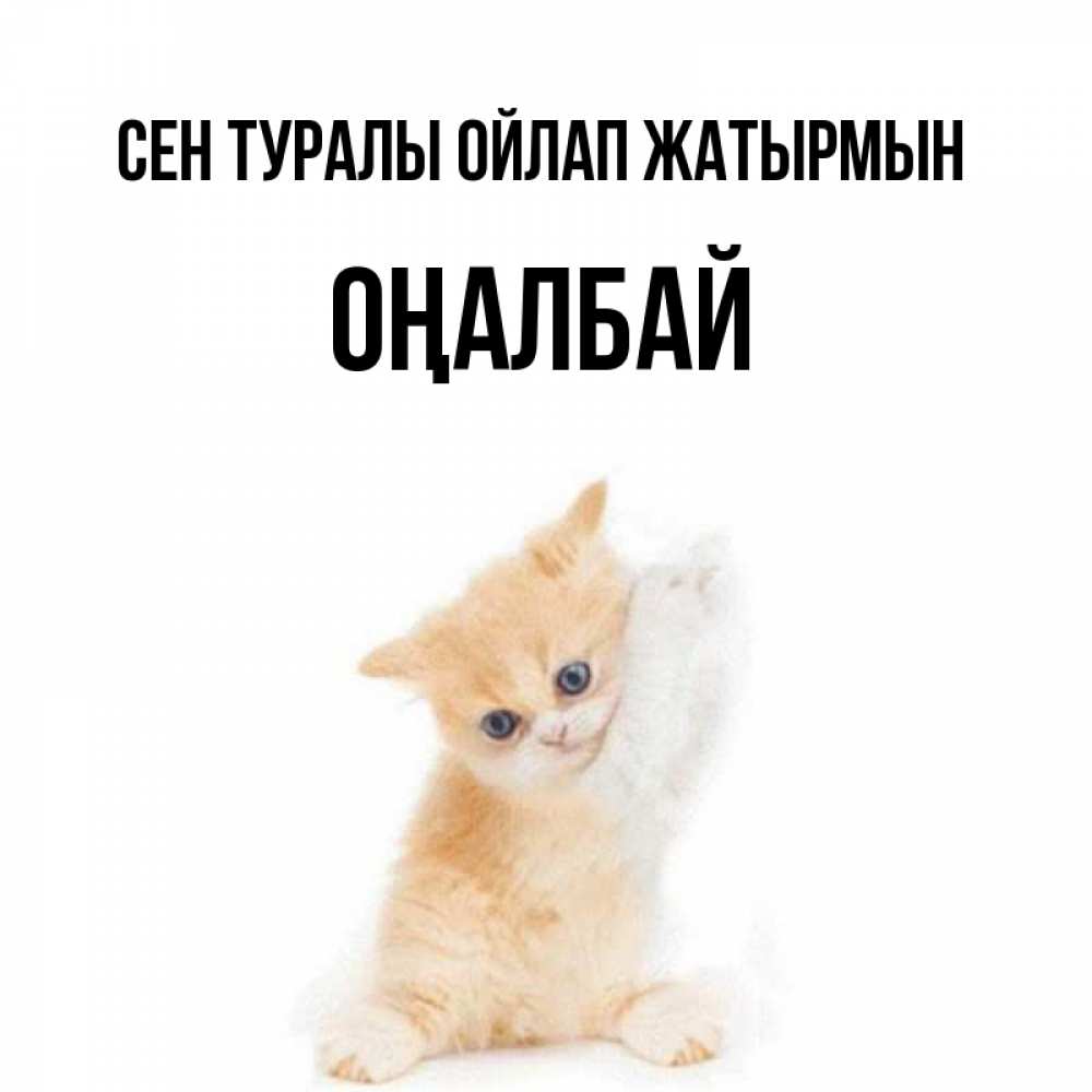 Күн сайын ашық хат с именем, ОҢАЛБАЙ Сен туралы ойлап жатырмын зверушки и милота Онлайн тегін жүктеп алу тілектері бар керемет карта 