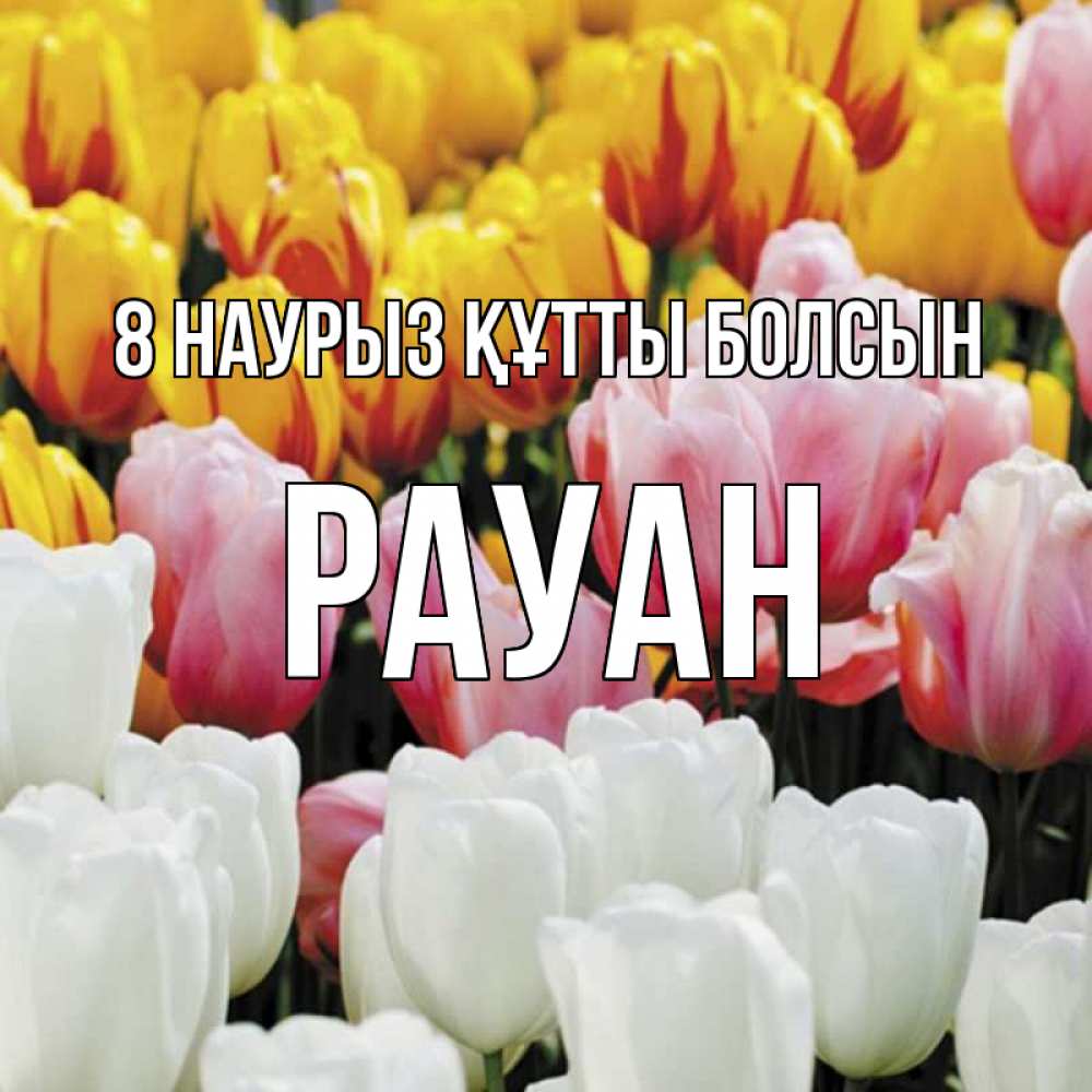 Күн сайын ашық хат с именем, РАУАН 8 наурыз құтты болсын разноцветные цветы Онлайн тегін жүктеп алу тілектері бар керемет карта 
