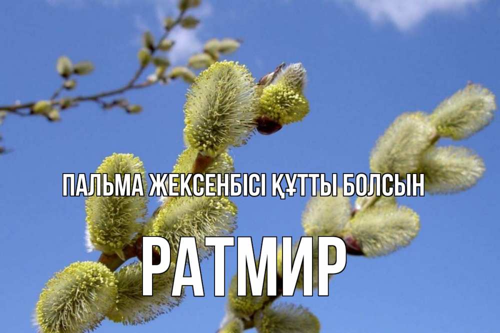 Күн сайын ашық хат с именем, Ратмир Пальма жексенбісі құтты болсын верба Онлайн тегін жүктеп алу тілектері бар керемет карта 