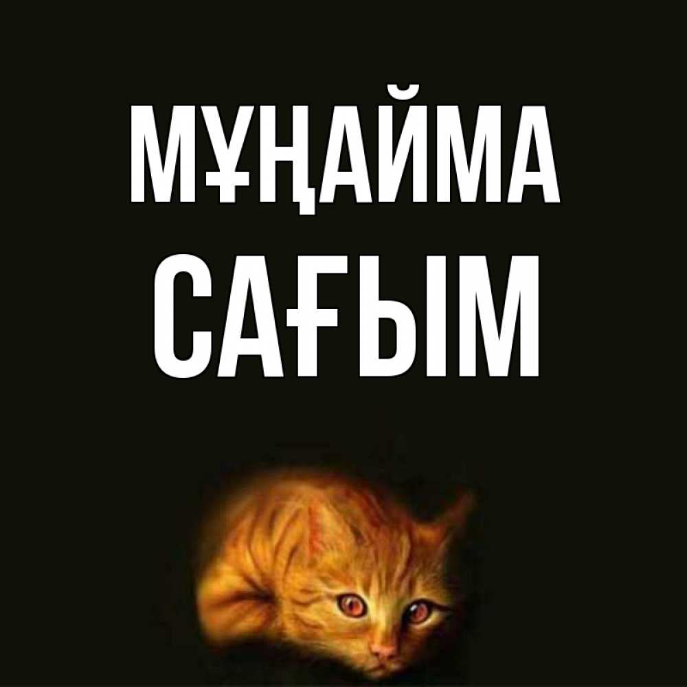 Күн сайын ашық хат с именем, САҒЫМ Мұңайма лежащий кот в темноте Онлайн тегін жүктеп алу тілектері бар керемет карта 