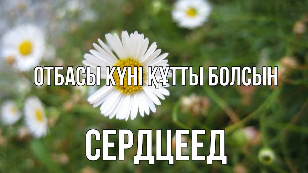 Күн сайын ашық хат с именем, Сердцеед отбасы күні құтты болсын с днем семьи Онлайн тегін жүктеп алу тілектері бар керемет карта 