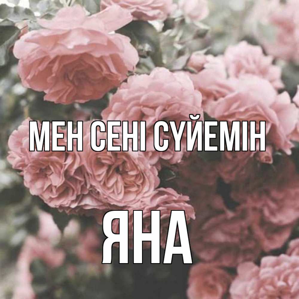 Күн сайын ашық хат с именем, Яна Мен сені сүйемін розы 3 Онлайн тегін жүктеп алу тілектері бар керемет карта 