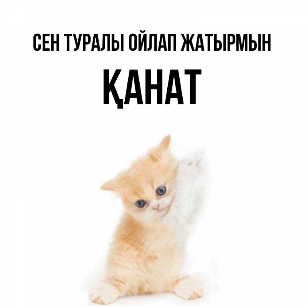 Күн сайын ашық хат с именем, Қанат Сен туралы ойлап жатырмын зверушки и милота Онлайн тегін жүктеп алу тілектері бар керемет карта 